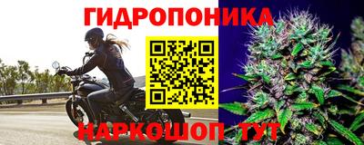 ГАЛЛЮЦИНОГЕННЫЕ ГРИБЫ Аша