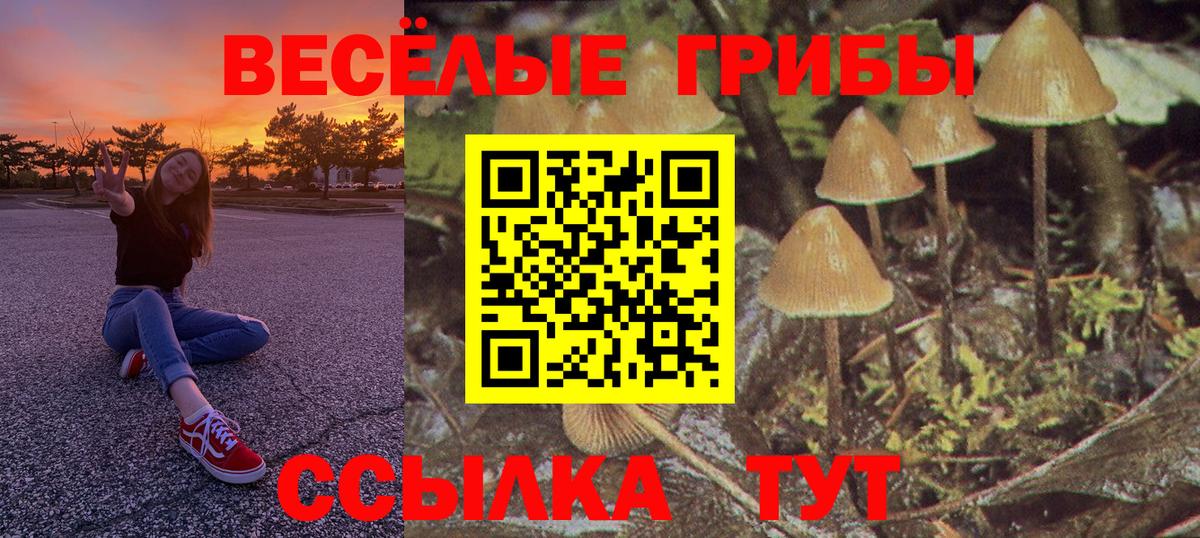 Галлюциногенные грибы Psilocybine cubensis Благодарный